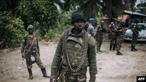 RDC - Au moins douze personnes tuées par des islamistes présumés