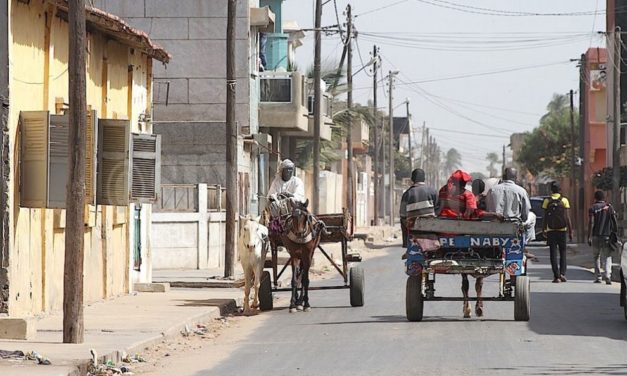 CONQUETE DE LA VILLE DE RUFISQUE - Ismaëla Madior Fall et Souleymane Ndoye, la guerre totale !