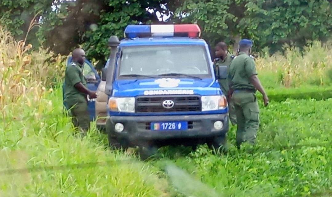 MANIF INTERDITE A PAKOUR - Guy Marius Sagna arrêté et transféré à Tamba