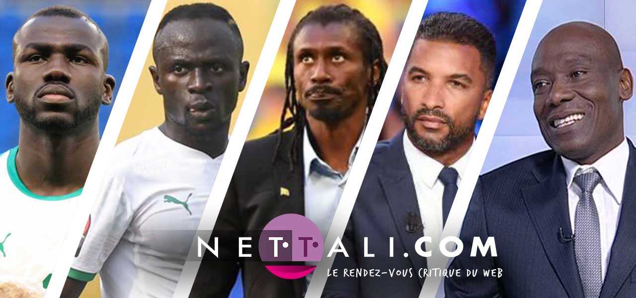 IDIOVISUEL - Au rythme de lions bien trop sages !