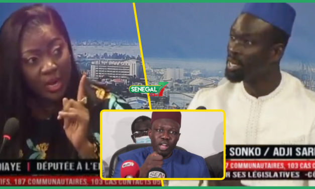 ÉLECTIONS LOCALES – ALTERCATIONS BBY ET YAW- Une ‘’perruque’’ au cœur de l’incident