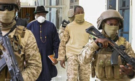 MALI - La Cour constitutionnelle refuse de statuer sur la fin de la transition