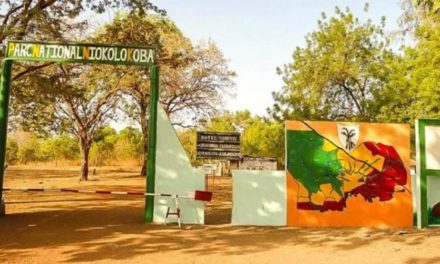 KEDOUGOU - L’adjoint au chef de brigade du Parc Niokolo Koba condamné à 6 mois ferme