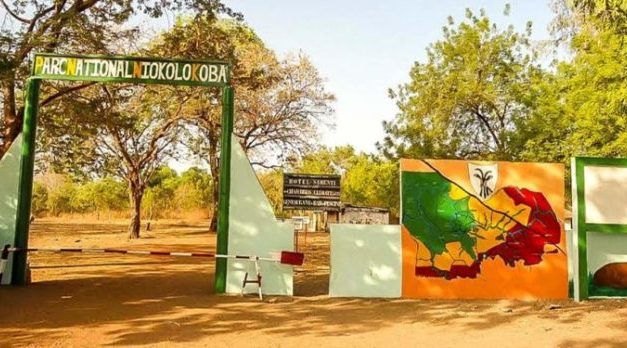 KEDOUGOU - L’adjoint au chef de brigade du Parc Niokolo Koba condamné à 6 mois ferme