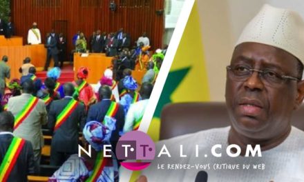 COUPS DE PILON - Au nom du mépris des règles
