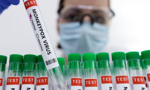 VARIOLE DU SINGE - Trois cas confirmés en France, indique SPF