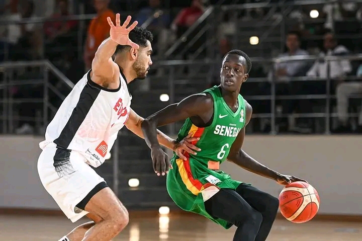 BASKET/ÉLIMINATOIRES MONDIAL 2023 - Lourde défaite des Lions devant l'Égypte (76-43)