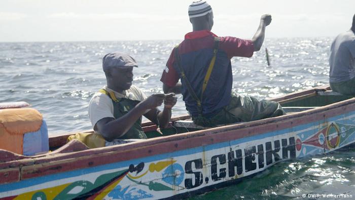 VOL DE POISSONS À KOLDA - 2 pêcheurs tués par balle, 9 personnes arrêtées par la gendarmerie