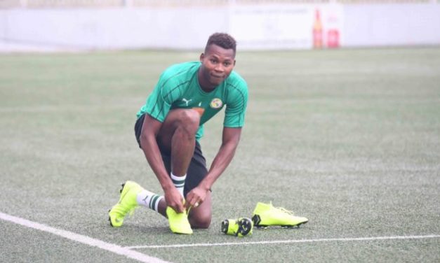 ÉQUIPE NATIONALE - Habib Diallo remplace Diao Baldé