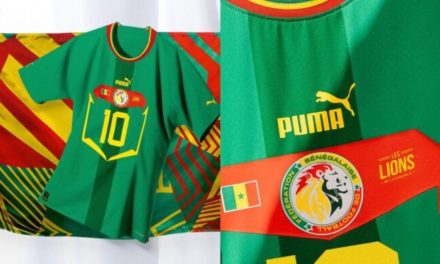 VENTE DE MAILLOTS DES LIONS - La FSF lynchée sur les réseaux sociaux