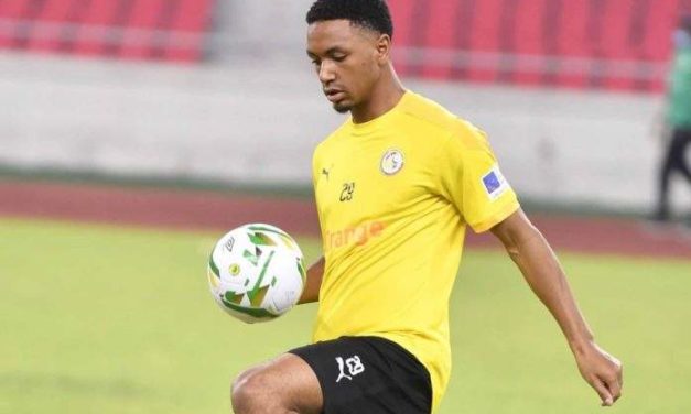 MONDIAL 2022 - De bonnes nouvelles pour les "Lions"