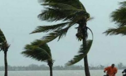 MÉTÉO - L’Anacim annonce un vent fort ce mardi