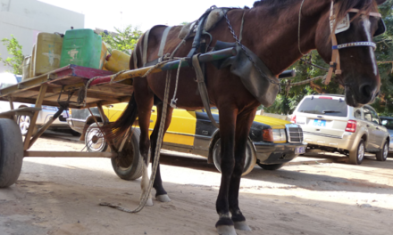 ARRÊTÉS - La circulation des chariots de vente et les charrettes interdites sur certains axes à Dakar, Mbour, Kaolack et Saint-Louis