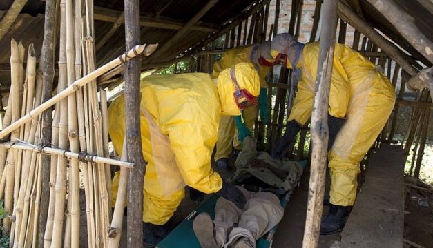 GUINÉE ÉQUATORIALE - Premiers cas mortels de fièvre hémorragique de Marburg