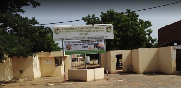 ECOLE INTER-ETATS DES SCIENCES ET MEDECINE VETERINAIRE- Les Etats membres sommés