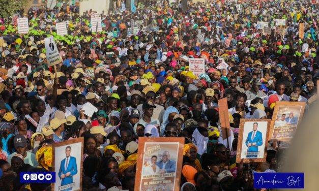EN COULISSES - Amadou encense Macky pour 2024 et 2029 !