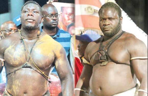 LAMB - Franc plus fort que Forza