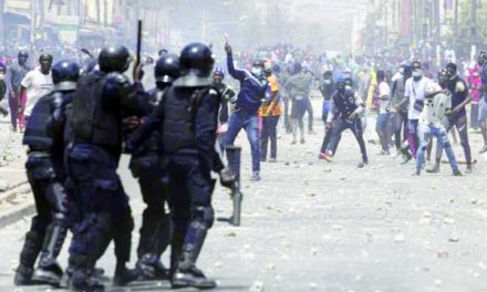 COUPS DE PILON - Au nom d’une folie destructrice !