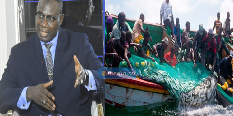 ÉMIGRATION IRRÉGULIÈRE - Moussa Balla Fofana dénonce l'échec de nos politiques publiques 