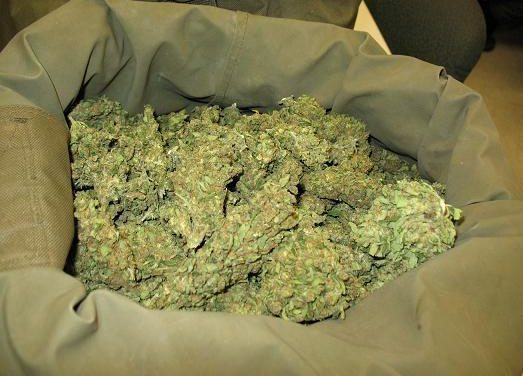 EN COULISSES - 208 kilos de drogue saisis