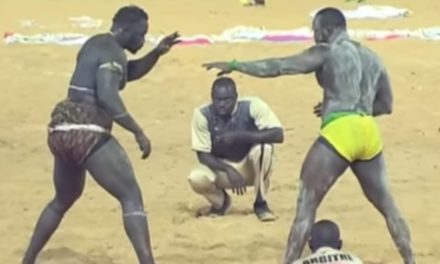 LUTTE - Boy Niang perd plus de 2 millions, Modou Lô 1.400.000 F