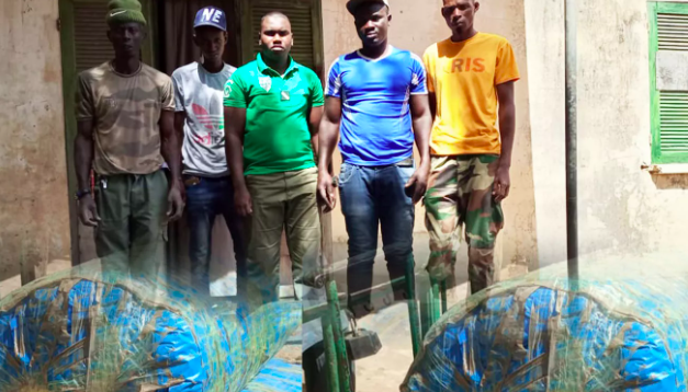 KAFFRINE - 83 kg de chanvre indien saisis par des agents des eaux et forêts