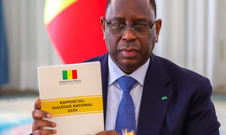 EN COULISSES - Saisine imminente du Conseil constitutionnel