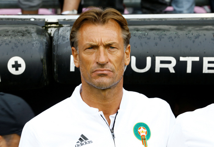 CAMEROUN  Hervé Renard, priorité de la Fecafoot