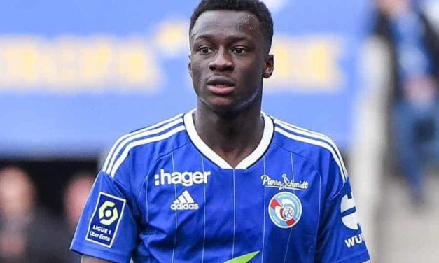 MATCHS AMICAUX DES LIONS - Habib Diarra et Amara Diouf pressentis