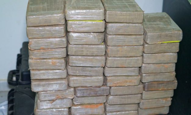 LUTTE CONTRE LA DROGUE ENTRE THIÈS ET KAOLACK - Les brigades régionales de la Docrtis saisissent 326 kg de chanvre indien