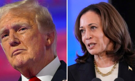 KAMALA HARRIS VS DONALD TRUMP - Que disent les derniers sondages aux États-Unis ?