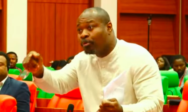 PUTSCH A BISSAU - Guy Marius Sagna fustige la CEDEAO après l’accueil d’Umaro Sissoco Embaló à Dakar