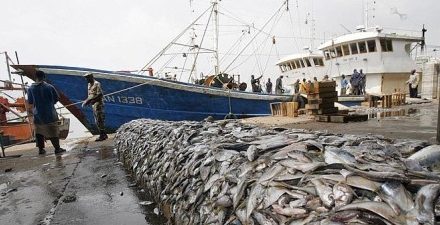 PÊCHE ET AQUACULTURE -Les syndicalistes annoncent une grève de 48 heures à partir du 14 avril 