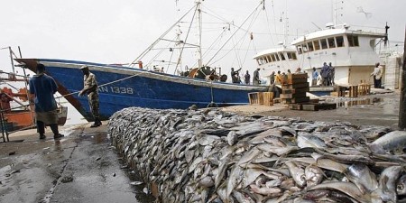 PECHE ILLICITE - 24 navires arraisonnés par les autorités