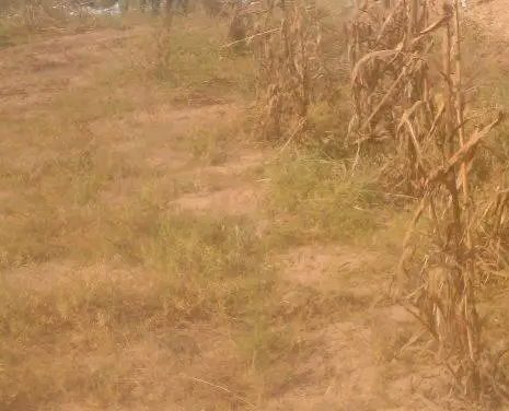 CAMPAGNE ELECTORALE - Un mort et 16 blessés dans l'accident d'un convoi de Pastef