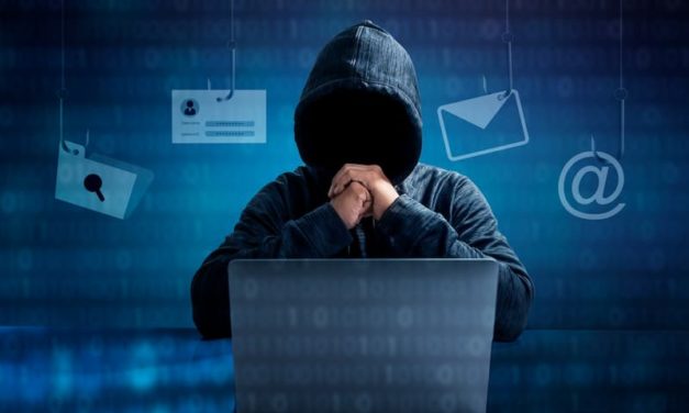 CYBERCRIMINALITE - Escroquerie en ligne Ponzi