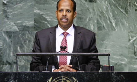 COMMISSION DE L'UNION AFRICAINE - Le Djiboutien Mahmoud Ali Youssouf remplace Moussa Faki Mahamat