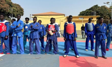 VOVINAM VIET VO DAO - Le nouveau bureau du CNG lance sa première compétition avec l'inter-ligue