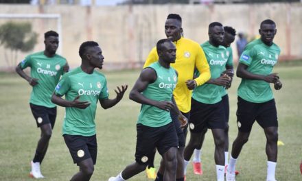 ÉQUIPE NATIONALE - Le groupe au complet