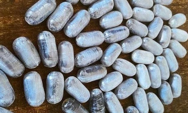 ZIGUINCHOR - Un individu arreté en possession de 26 boulettes de cocaïne