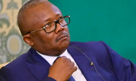 GUINEE-BISSAU  : Umaro Sissoco Embaló candidat à sa propre succession