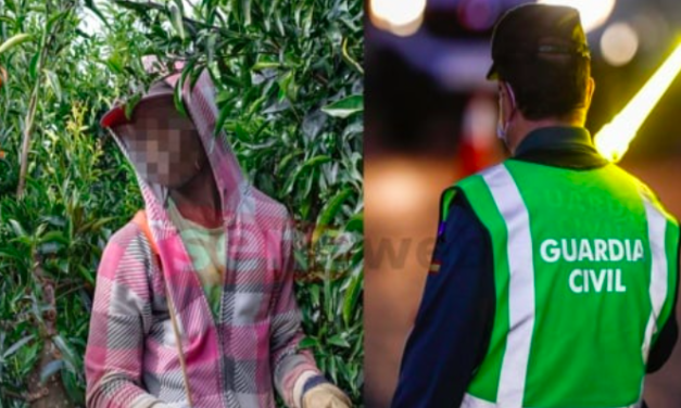 ESPAGNE - un saisonnier sénégalais porté disparu, son employeur arrêté