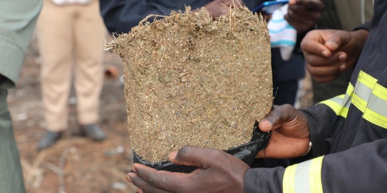TRAFIC DE DROGUE - 115 kg de cocaïne saisis à Kalifourou