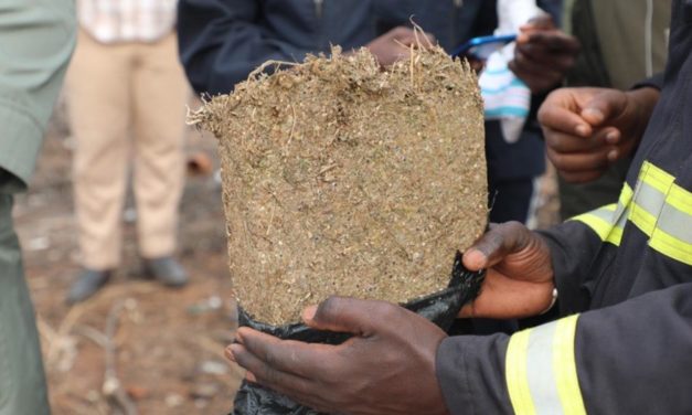 TRAFIC DE DROGUE - 115 kg de cocaïne saisis à Kalifourou
