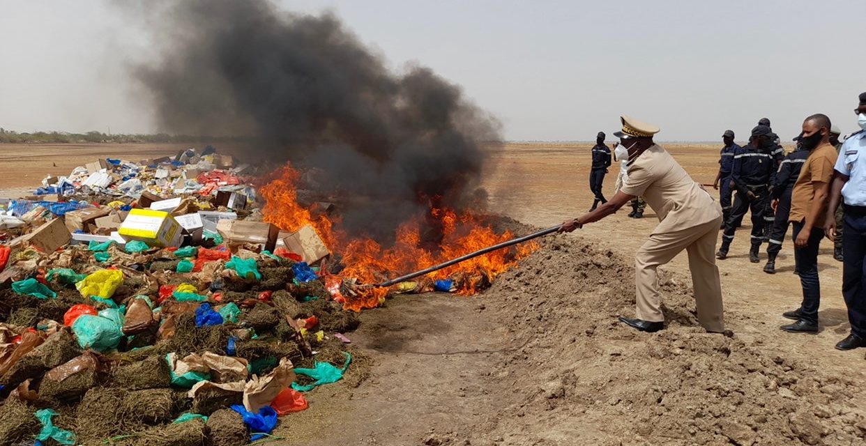 KAOLACK : Des produits prohibés et des billets noirs d’une contrevaleur de près de six milliards de francs CFA incinérés