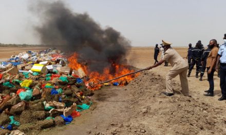 KAOLACK : Des produits prohibés et des billets noirs d’une contrevaleur de près de six milliards de francs CFA incinérés