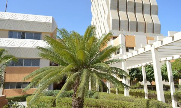 ENSEIGNEMENT SUPÉRIEUR - Deux consécrations pour l'UGB