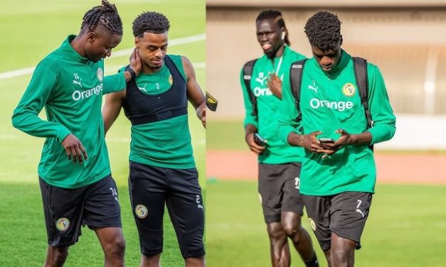 AFFAIRE DES BINATIONAUX - Tous les nouveaux Lions régularisés sauf...