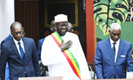 ASSEMBLEE NATIONALE - La proposition de loi Amadou Ba passe comme lettre à la poste