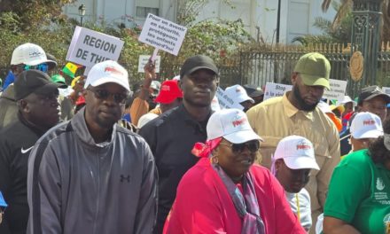 OUSMANE SONKO : "Il n'est plus acceptable que les gens disent et font ce qu'ils veulent"